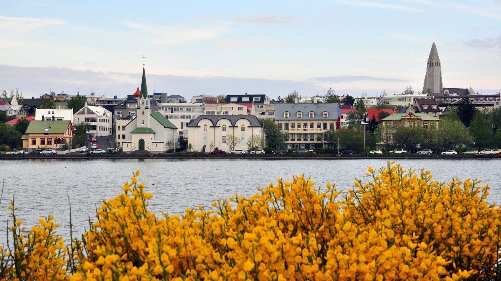 Tjörnin