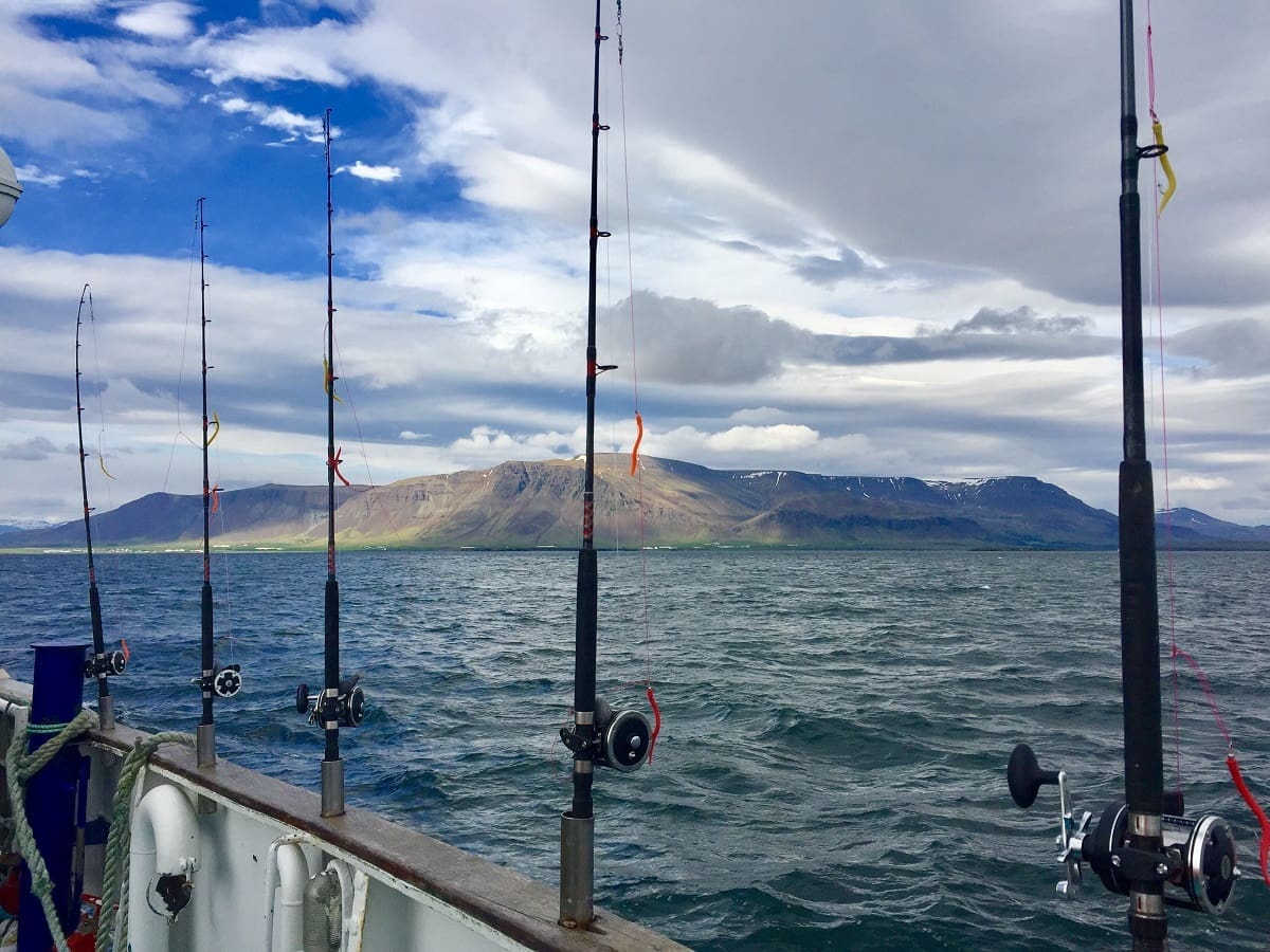 Sunset Fishing in Faxaflói Bay: 2.5-3 Hour Excursion