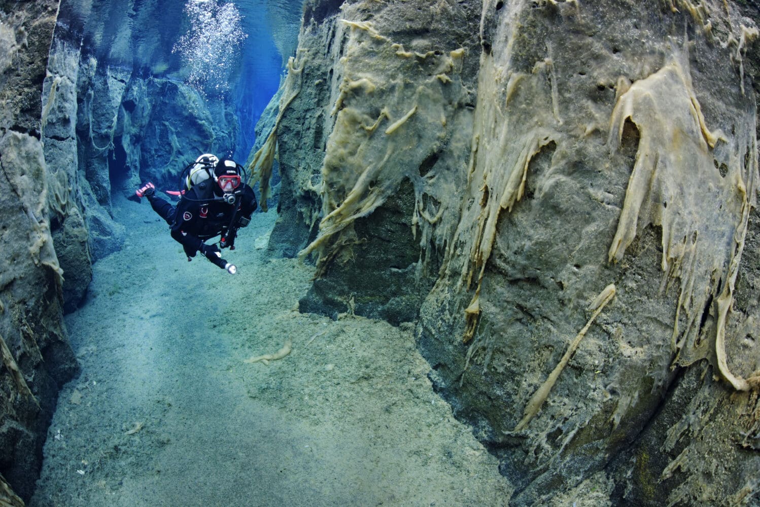 Nesgjá Snorkeling Tour