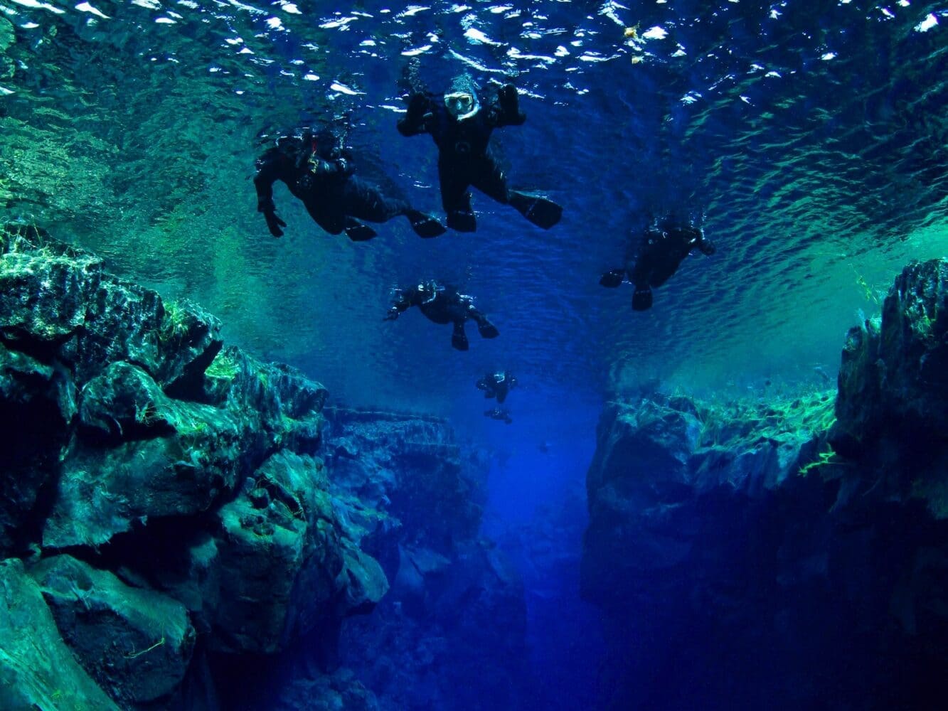 Snorkeling Silfra & Whale Watching