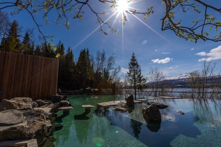 Forest Lagoon and Northern Lights Guided Night Tour