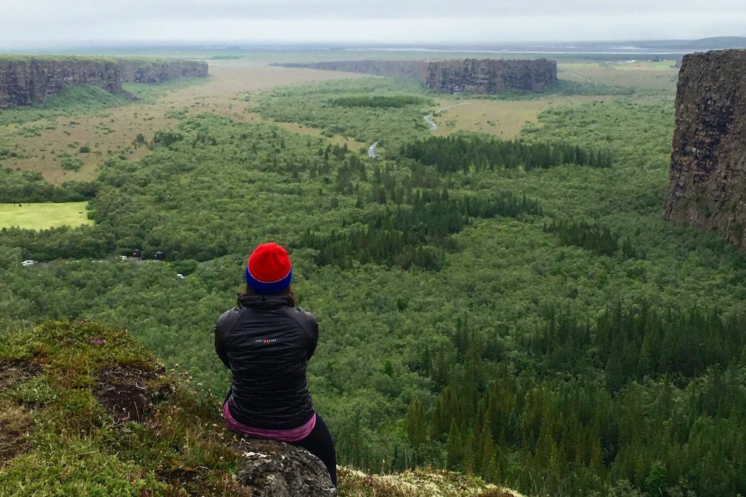 Geology tour: Jökulsárgljúfur – private tour