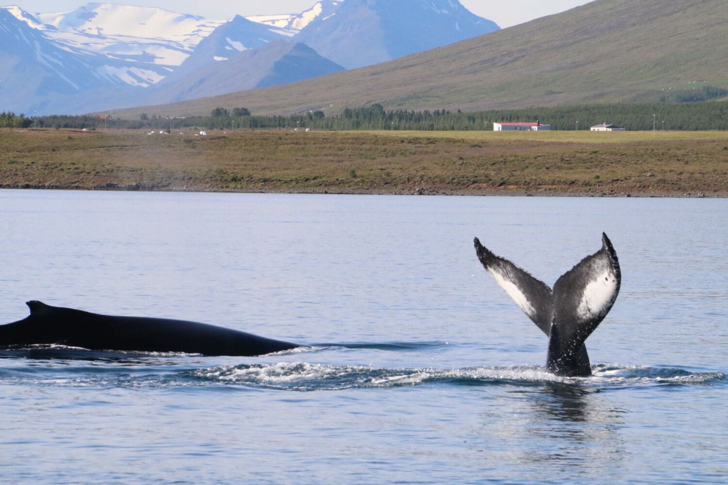 8 Day – Iceland Ring Road Tour