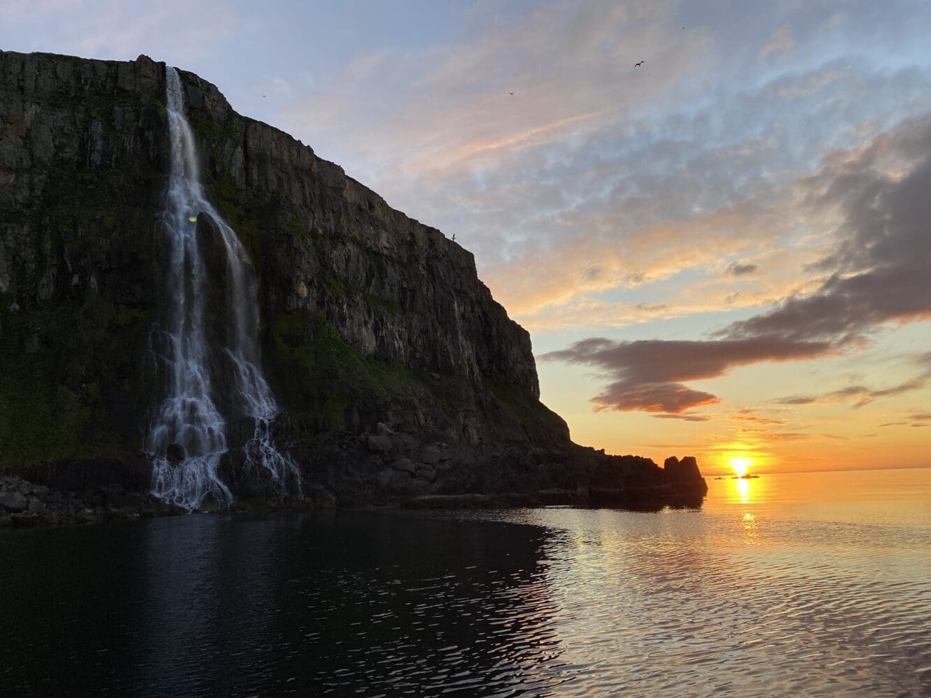 Midnight Sun Whale Watching