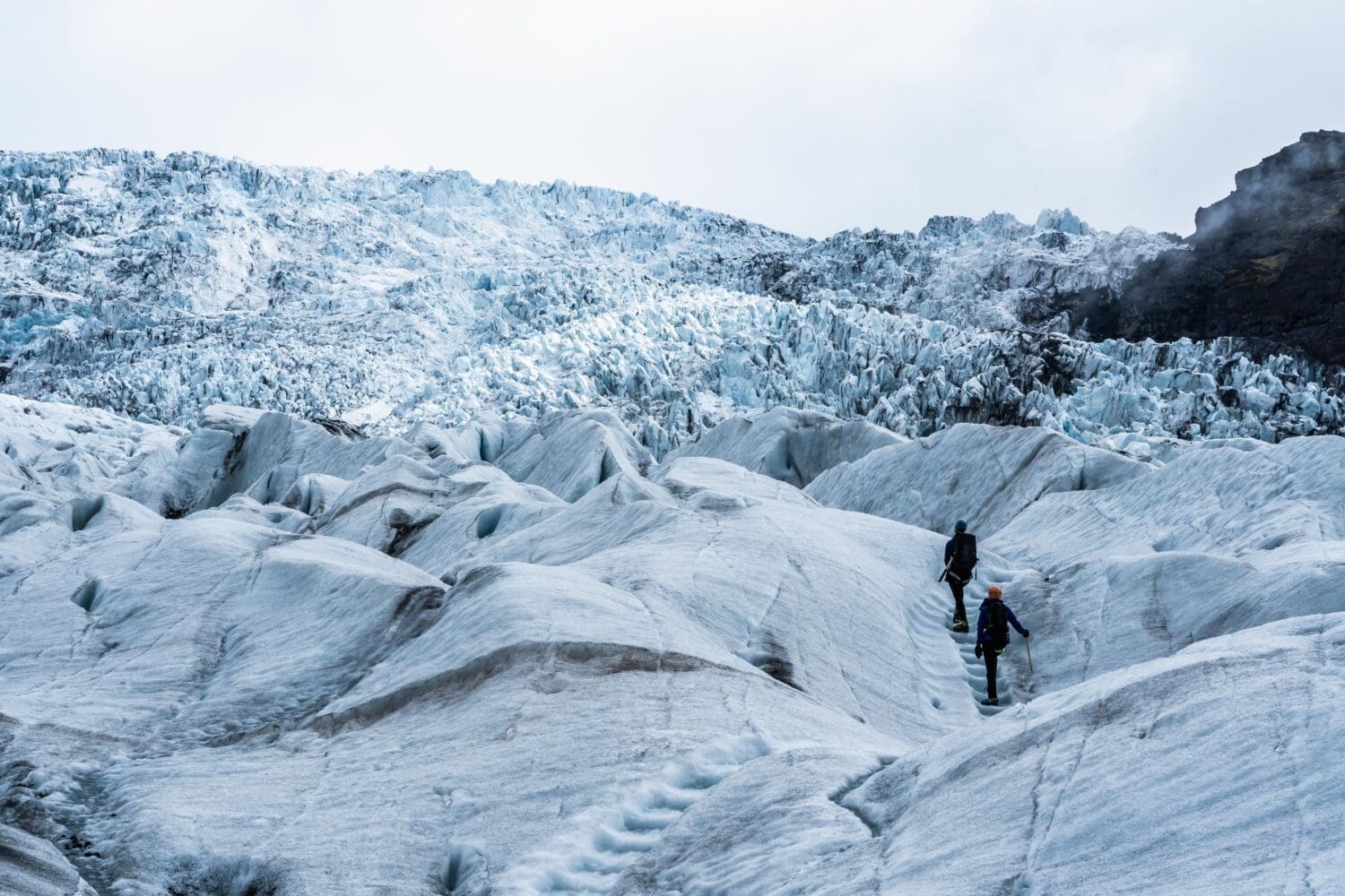 Glacier Encounter