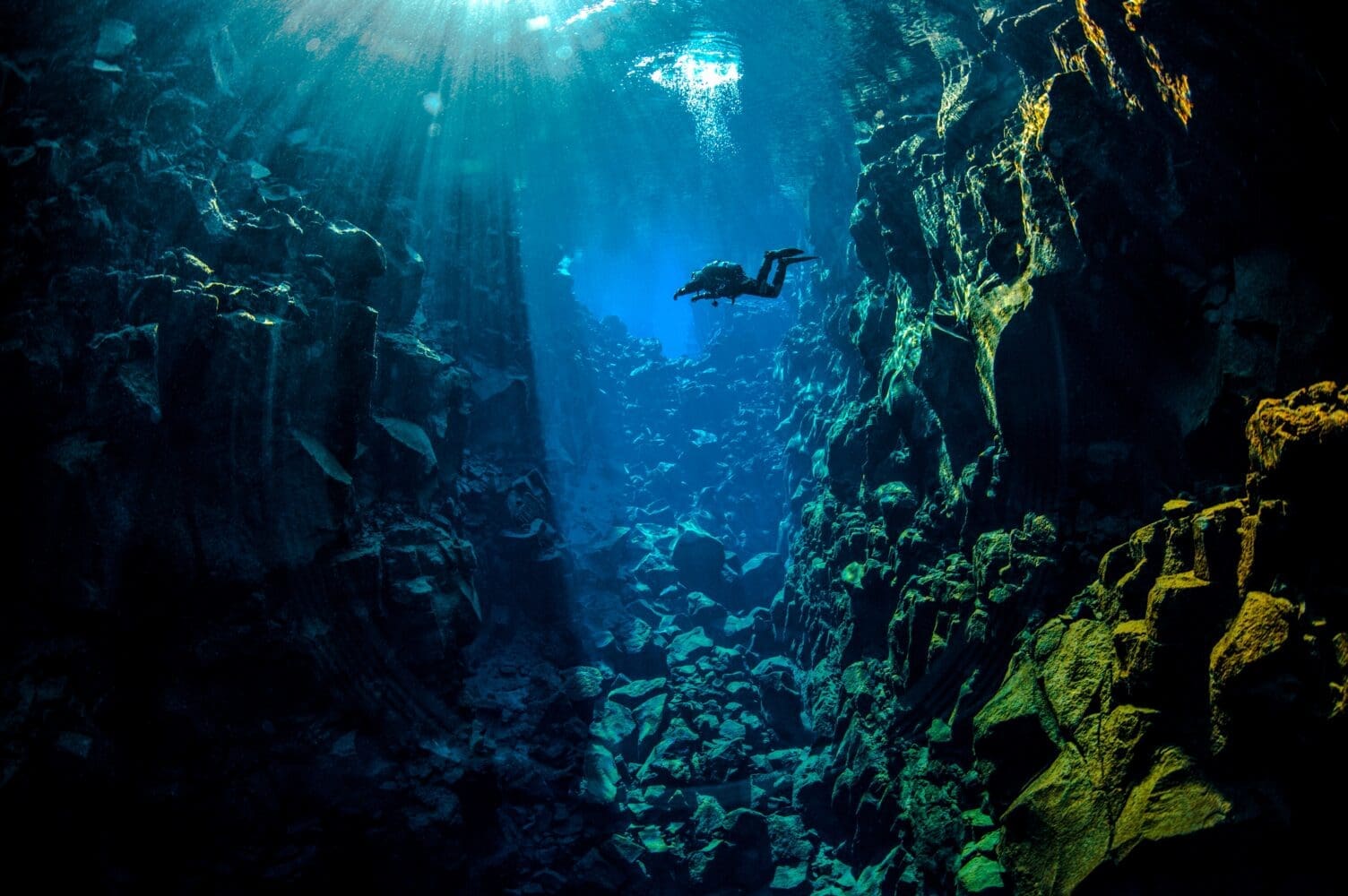 Deep Into the Blue – Silfra Diving from Reykjavík