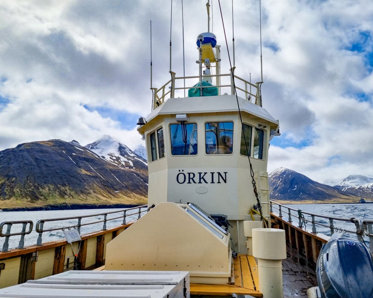 Boat tour from Siglufjörður
