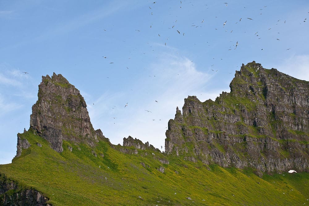 Lost Fjords