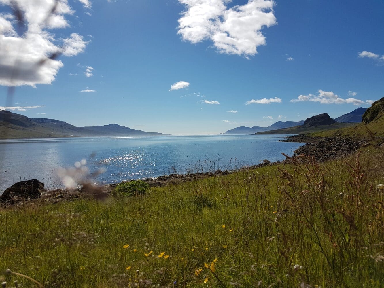 Hólmanes – Nature Reserve: Guided Hike
