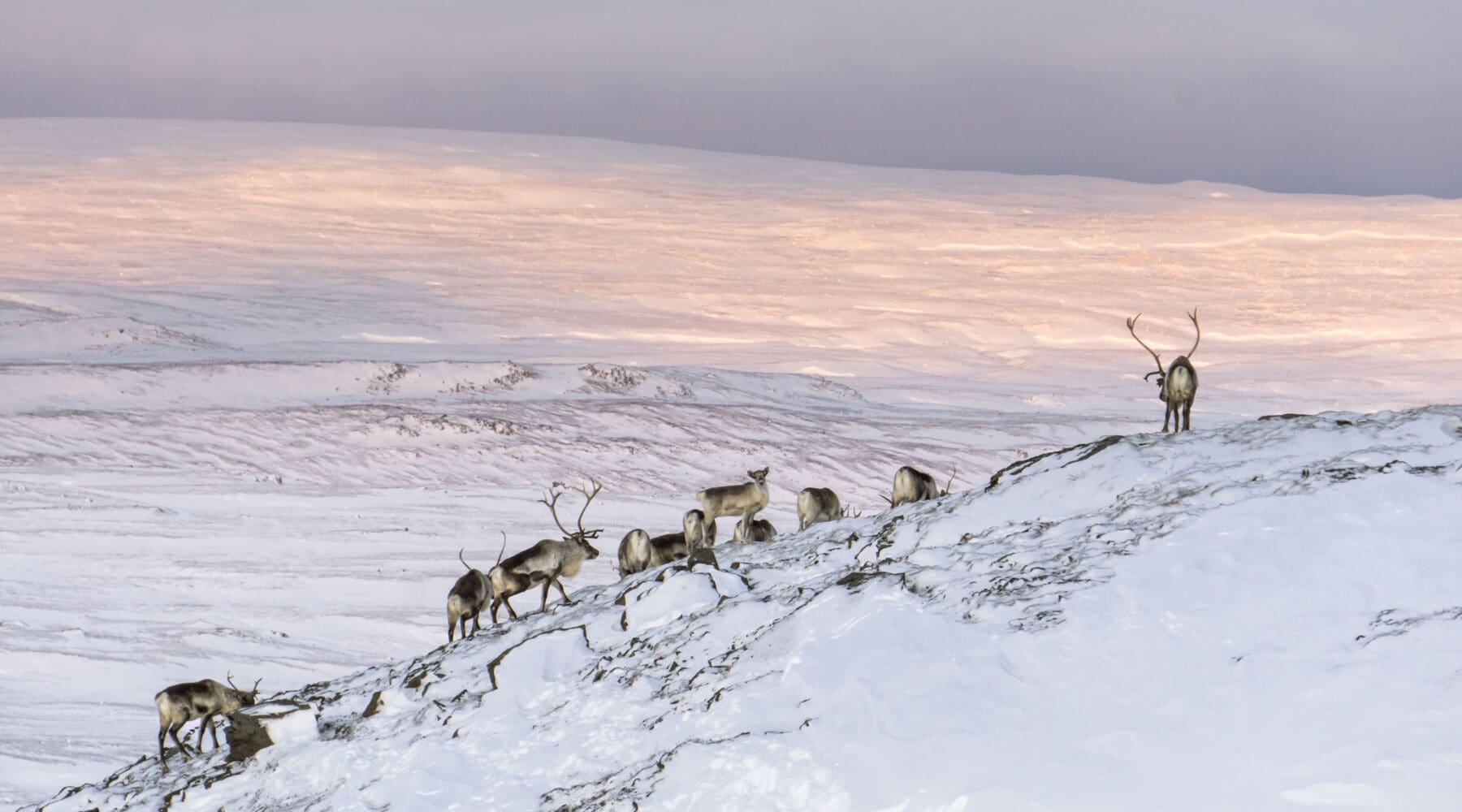 Winter Adventure – Tröllakrókar