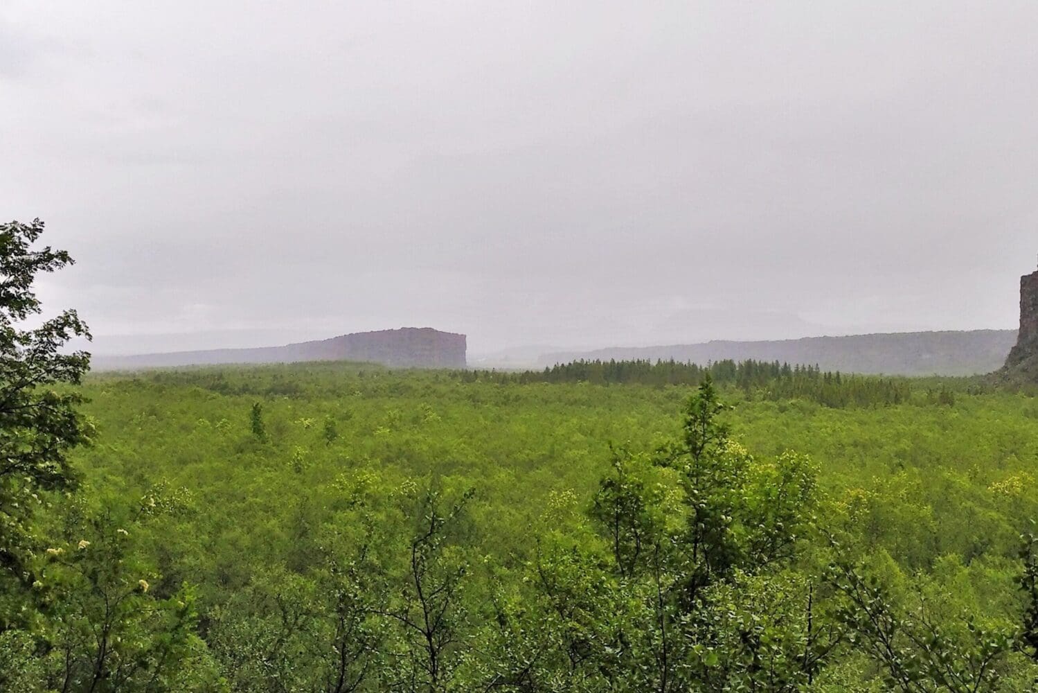 Geology tour: Ásbyrgi & Melrakkaslétta – private tour