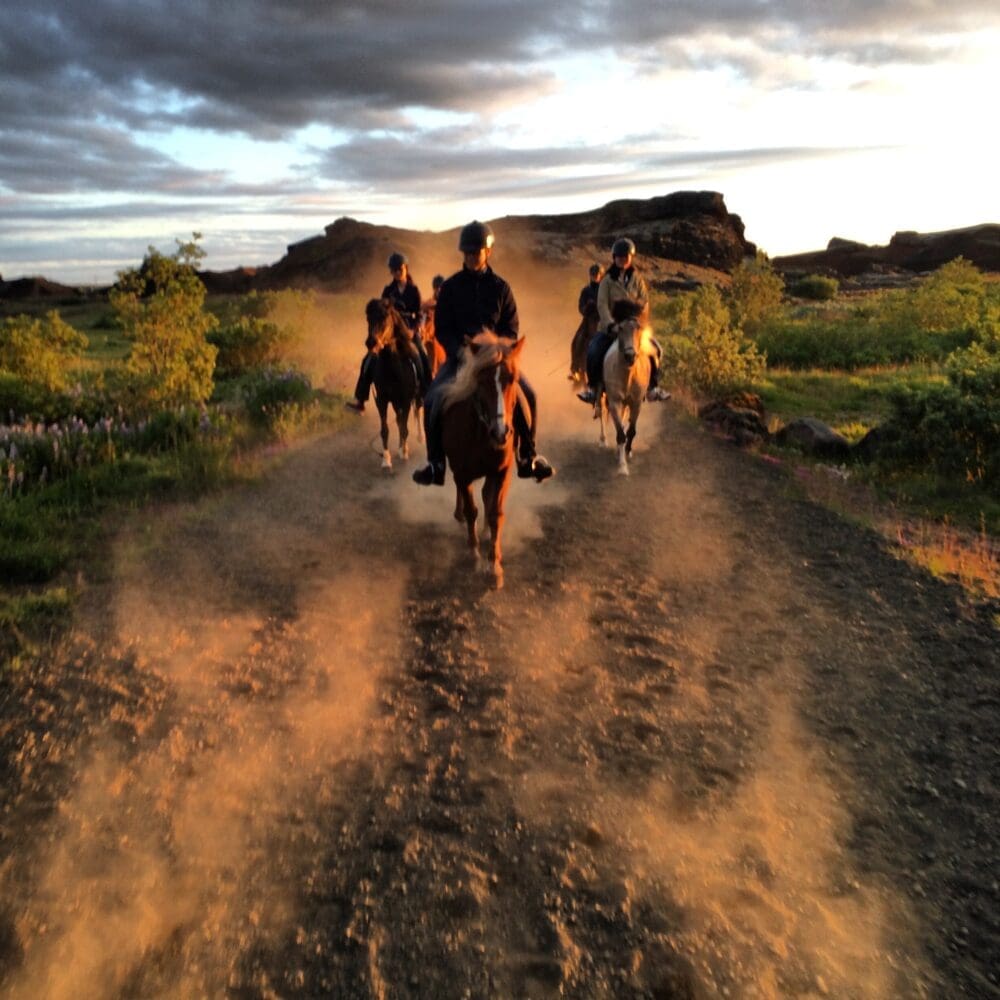 Volcanic Landscape – Riding Tour