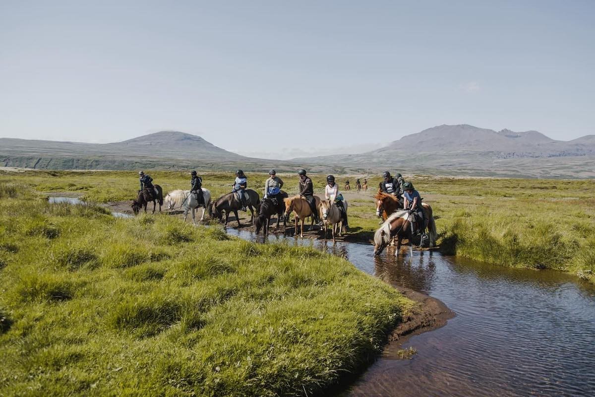 Trail Ride for All Levels