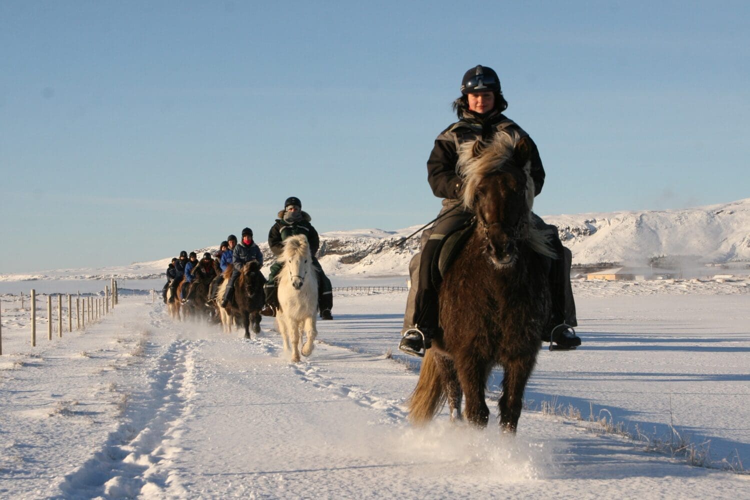 02G – Icelandic Diversity