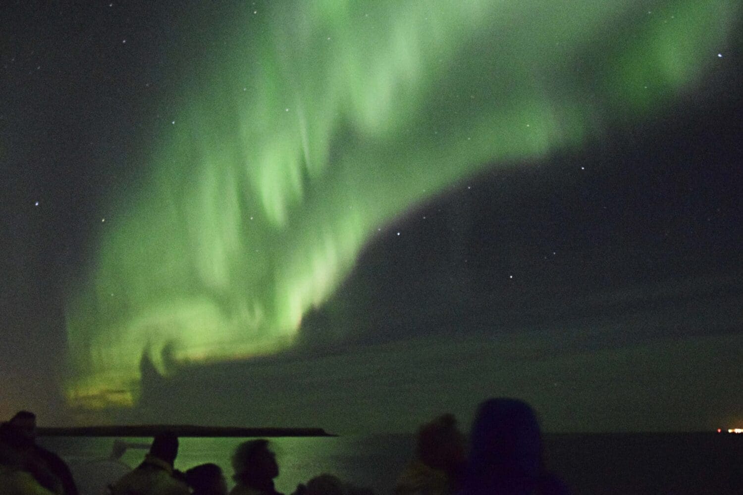 Horses & Northern Lights by boat