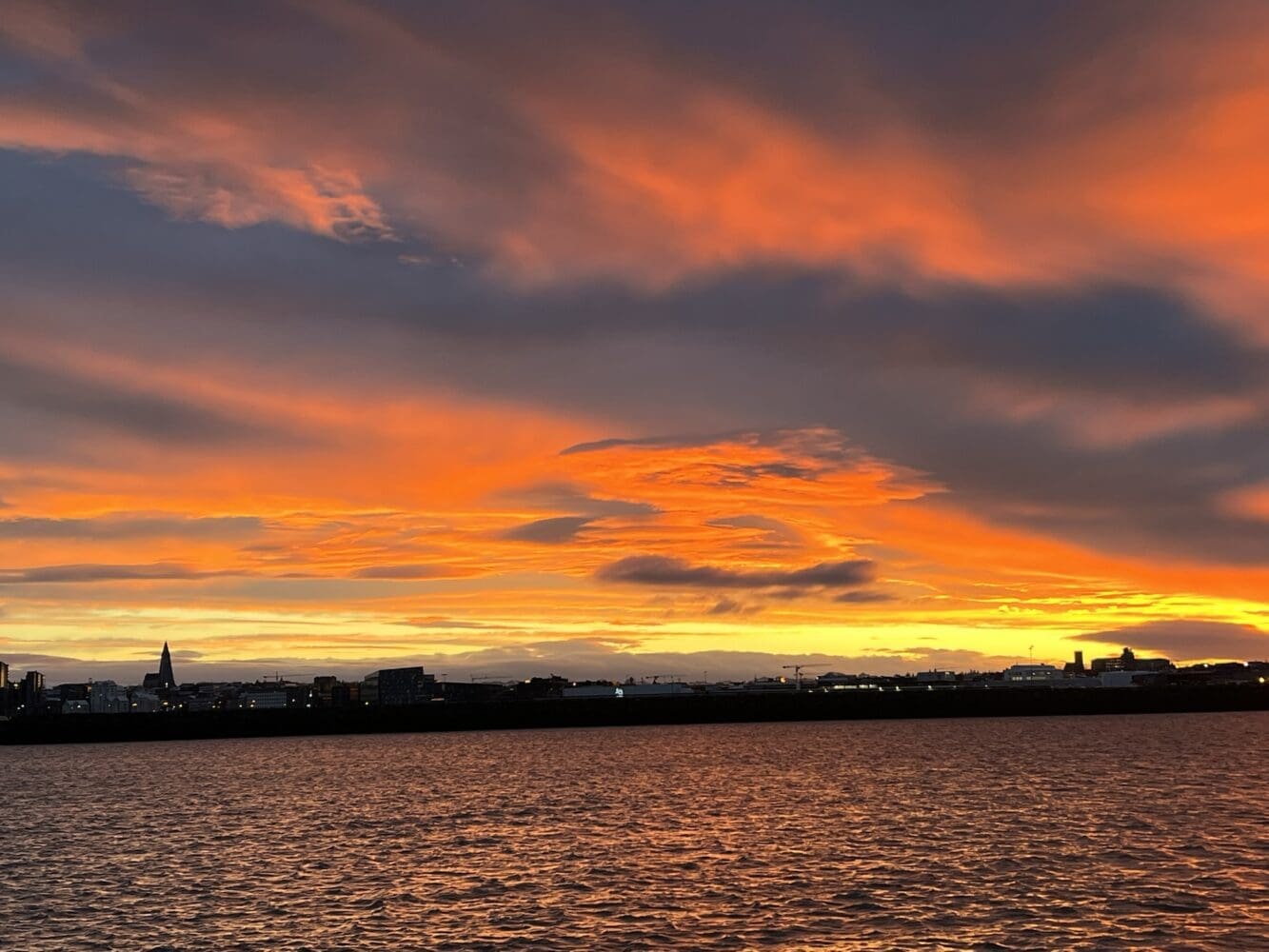 9pm Whale Watching Cruise in the Arctic Sun