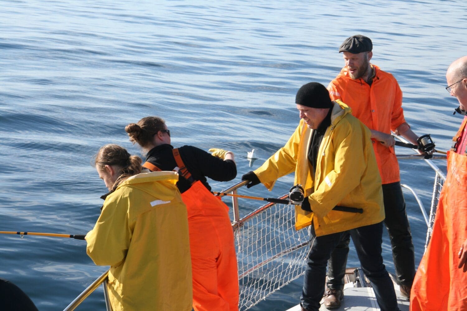 Reykjavík Sea Angling Gourmet
