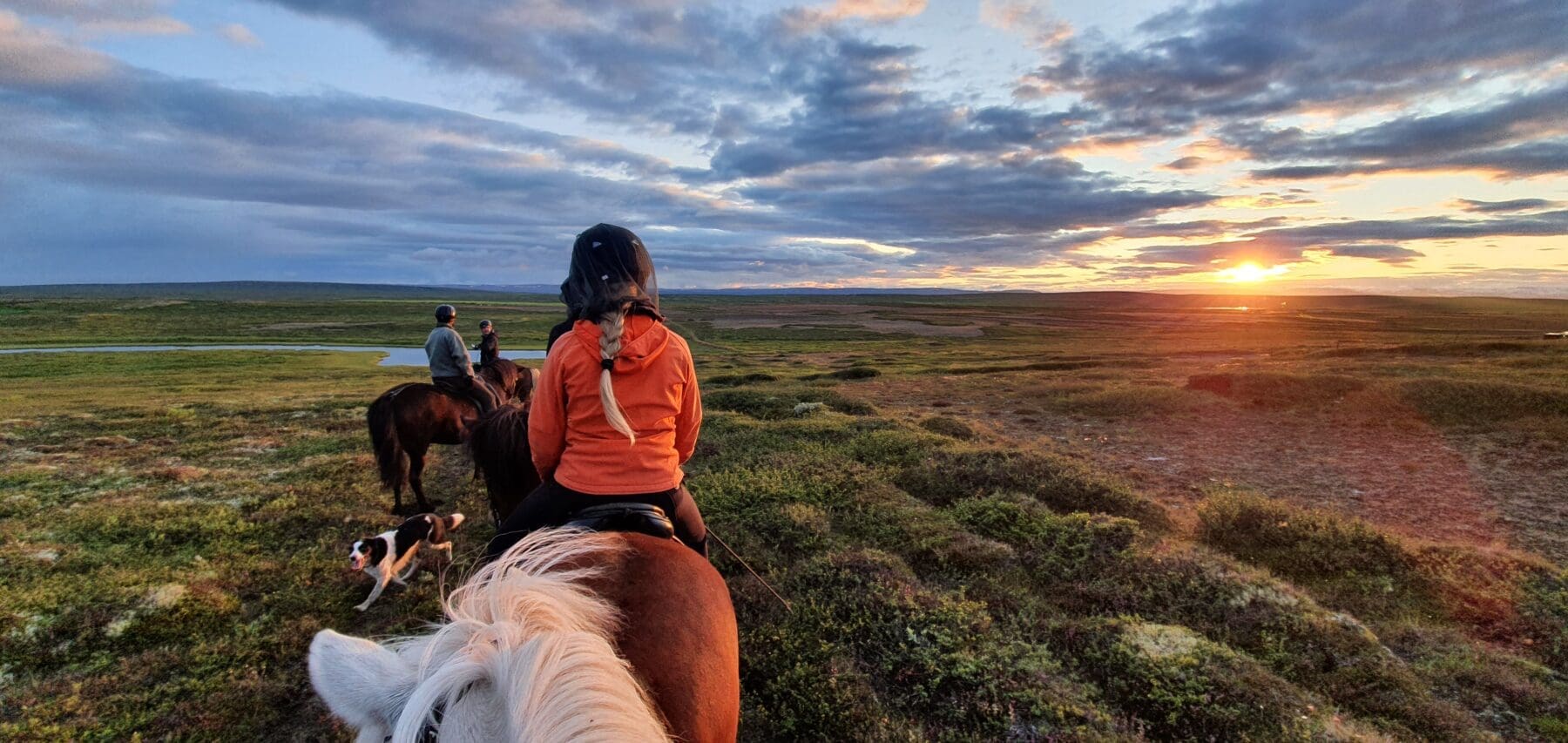 Horseback riding – private tour