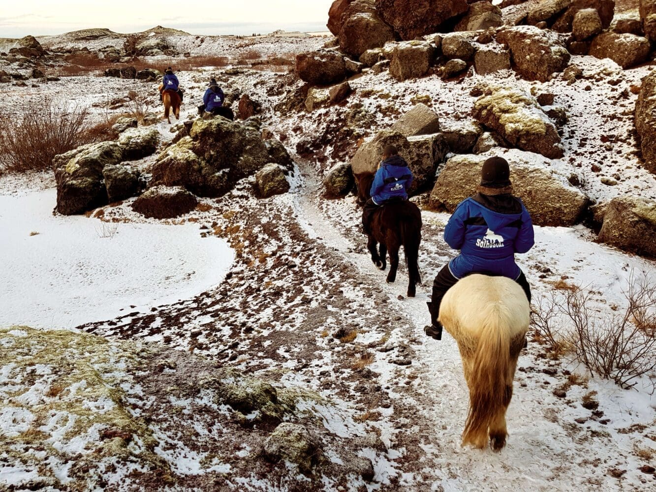 1 Hour – Winter Red lava Tour (With or Without Pick Up)