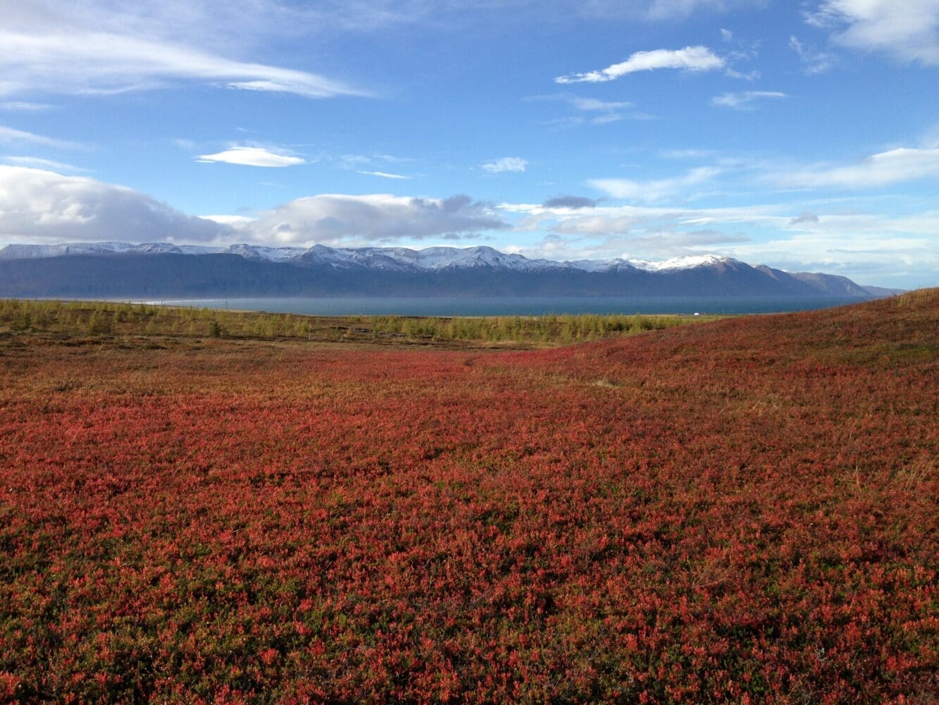 The Saltvík tour