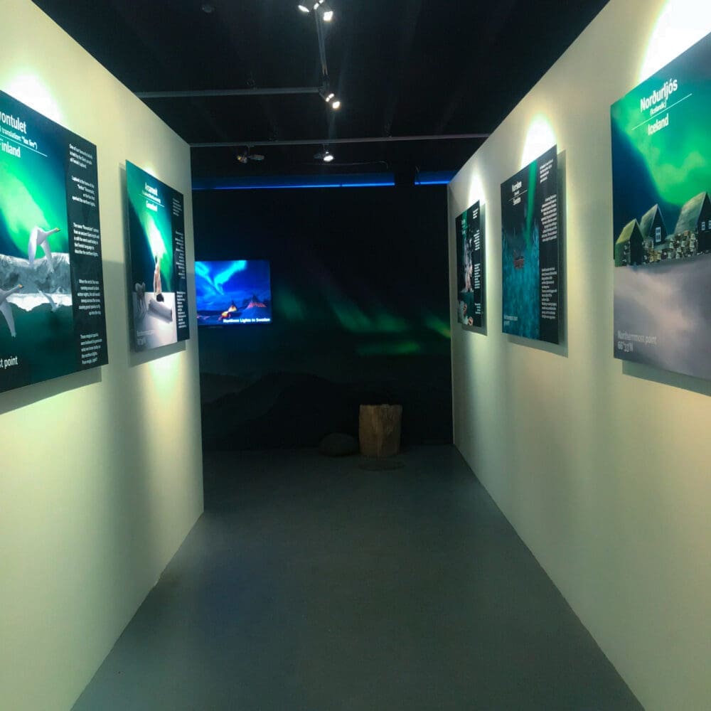 Whale Watching & Aurora Reykjavik Exhibition: A Celestial and Aquatic Adventure