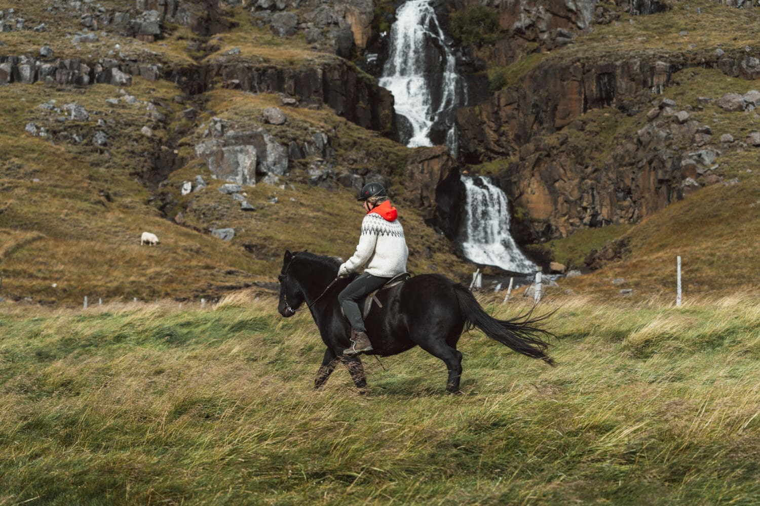 Riding into the Wild