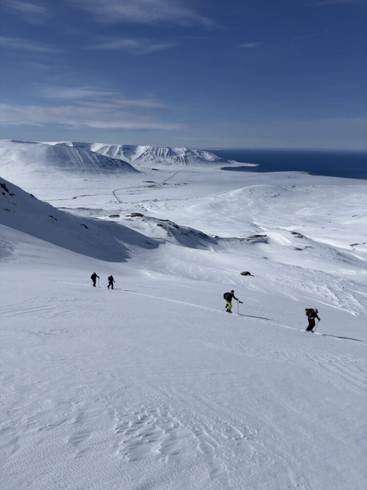 Backcountry skiing course in Iceland (Deposit Only)