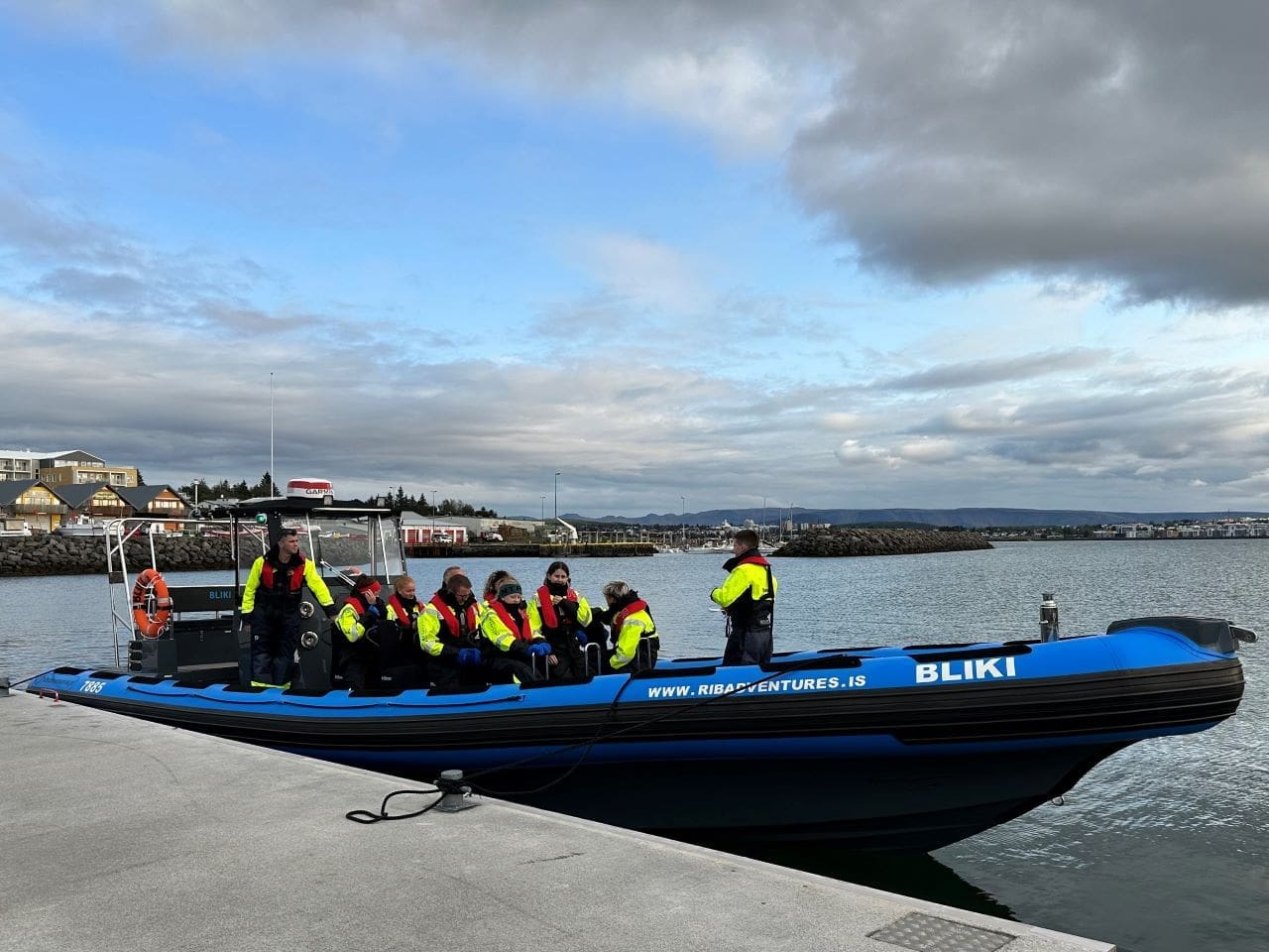 Whale Watching – RIB Boat Adventure
