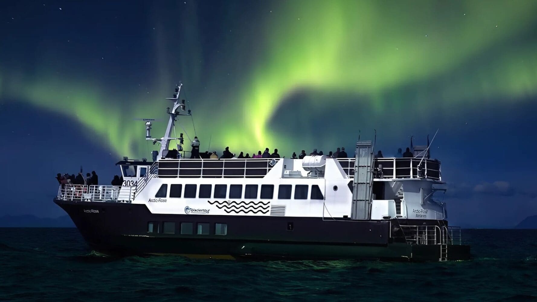 Taste of Reykjavik & Northern Lights Voyage