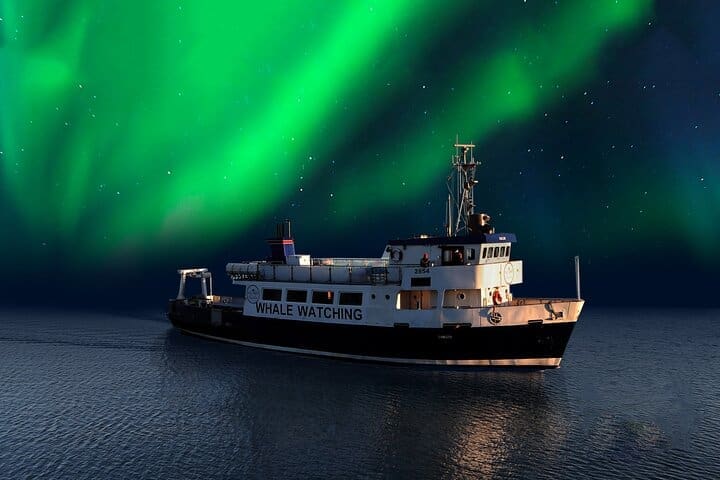 Northern Lights by Boat from Reykjavik