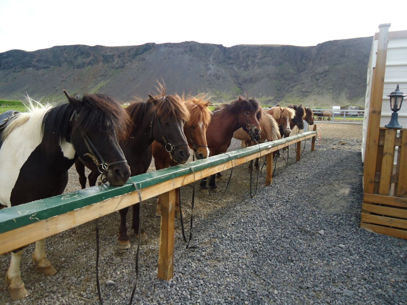 1 Hour Hotspring Valley Riding