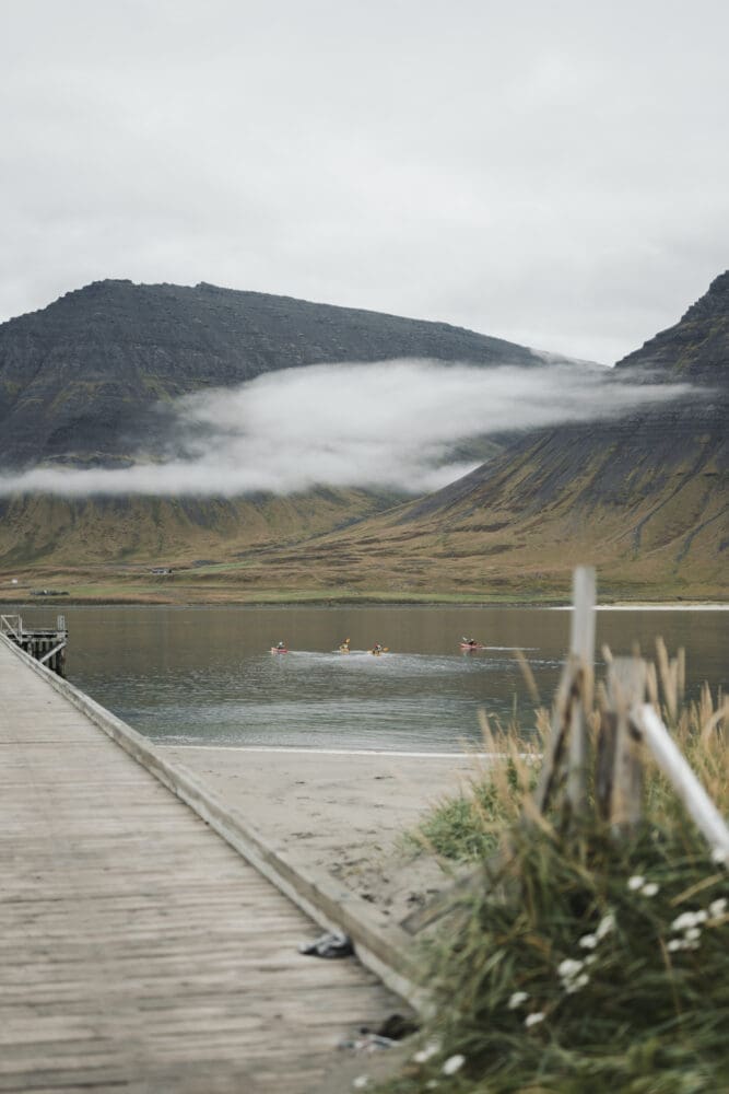Fjord Discovery