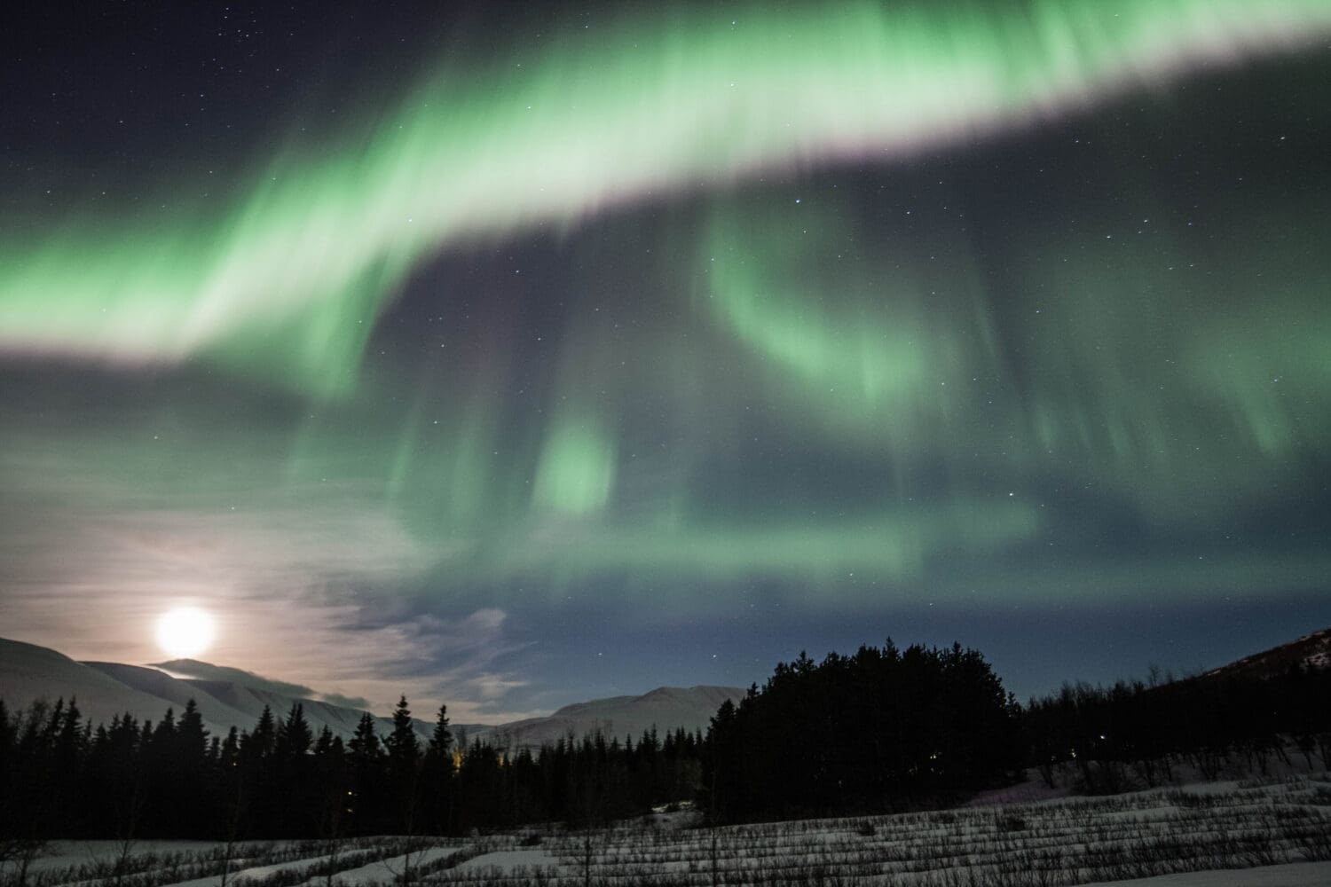 Private Northern Lights Photography Tour