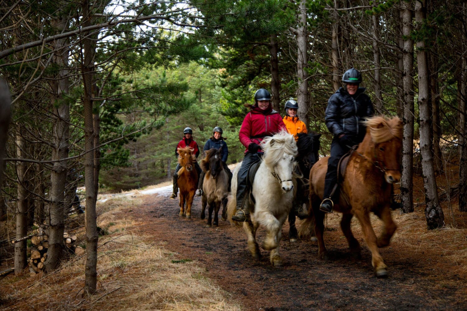 03C – Horses and Hot Springs