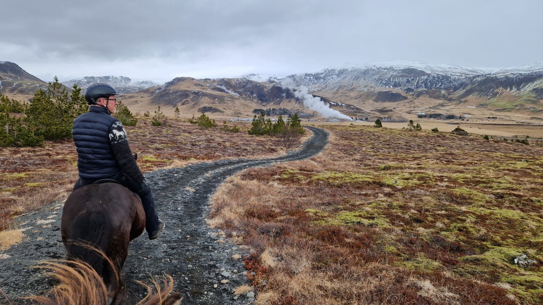Horse Riding Tour in Reykjadalur (Hot Spring Valley)