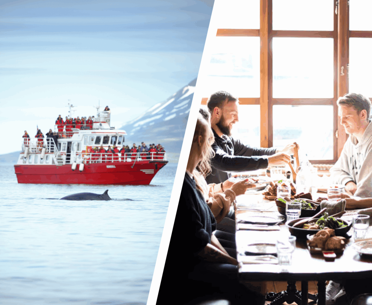 Akureyri: Whale Watching & Food Walk