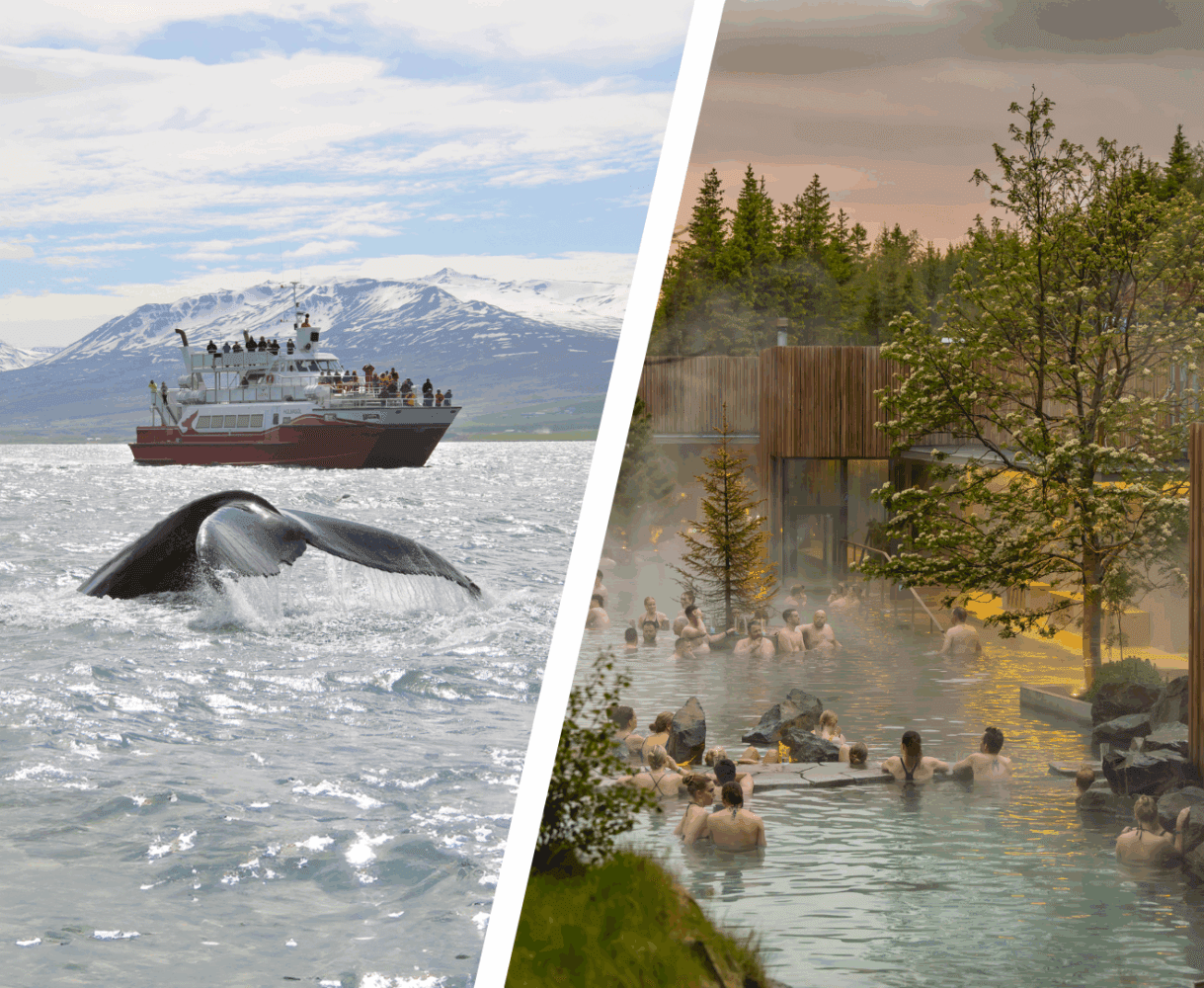 Akureyri: Forest Lagoon & Whale Watching
