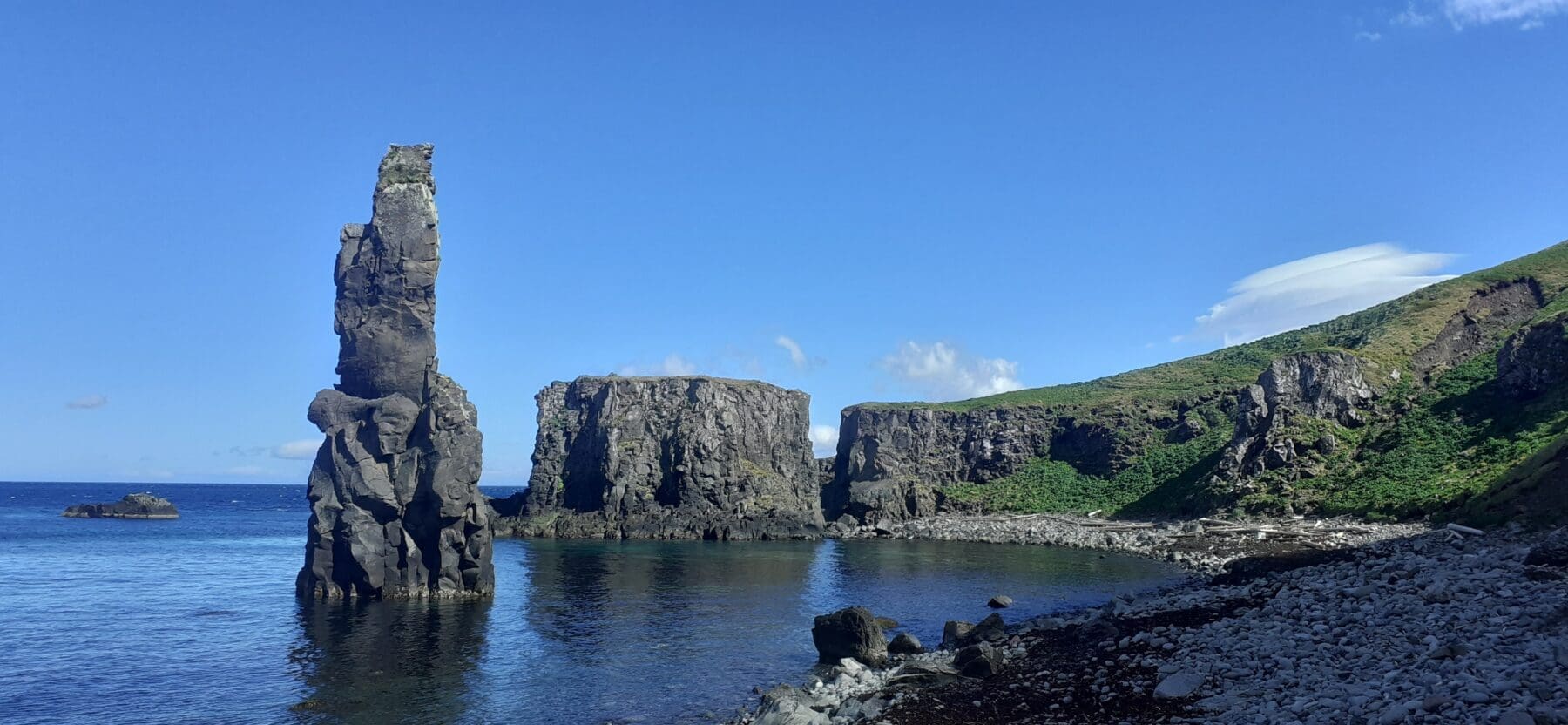 A Walk on the Wild Side