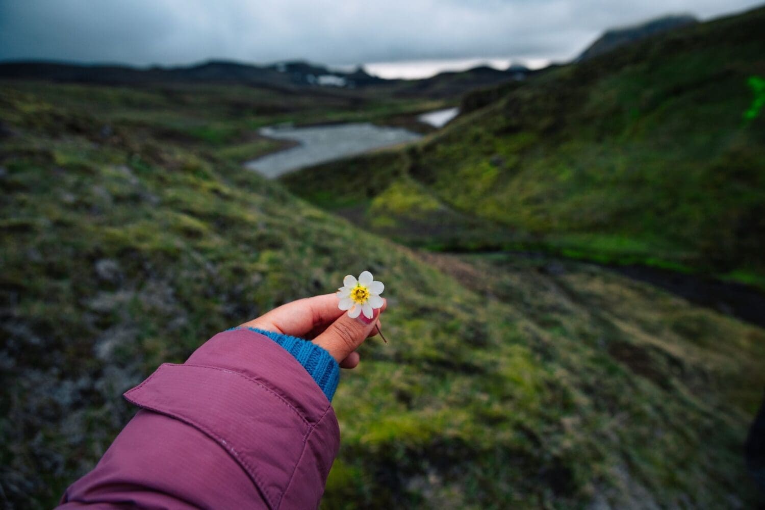 “Not in your guidebook” Adventure | Day Tour | Midgard