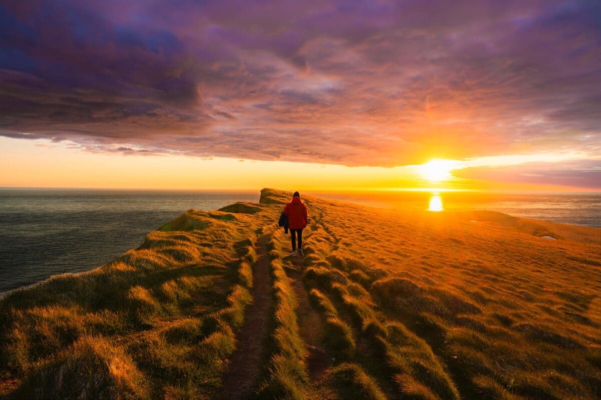 6 Day – South Coast, Glacier Experience & Wild Westfjords