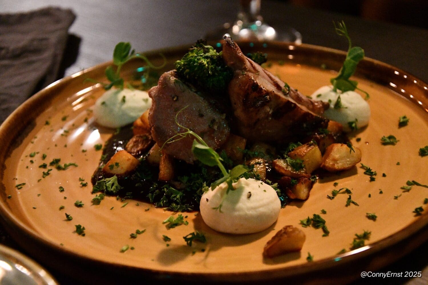 Icelandic Casual Fine Dining Experience